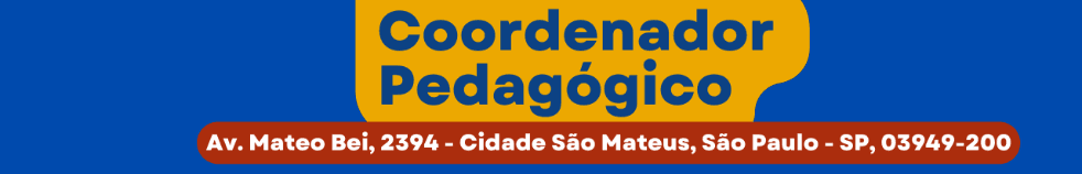Banner da vaga de Instituto Ana Hickmann Ferraz de Vasconcelos