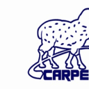 INDUSTRIA E COMERCIO DE SUPRIMENTOS INDUSTRIAIS CARPELA – EIRELI