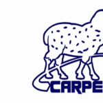 Logo INDUSTRIA E COMERCIO DE SUPRIMENTOS INDUSTRIAIS CARPELA – EIRELI