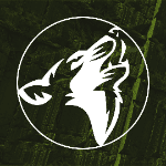 Logo Grupo Rellevanth