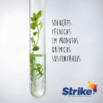 Logo STRIKE