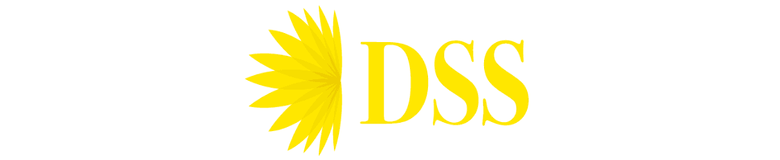 Banner de DSS Holding