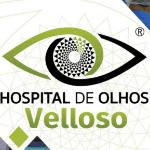 Logo de Grupo Velloso